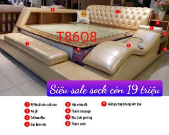 Mẫu giường ngủ massage thông minh nhiều chức năng GT8608